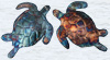 Turtles