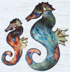 Seahorses
